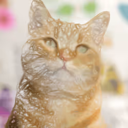 11276162529628641556553056529614973332754405277106184420845744992735847251969