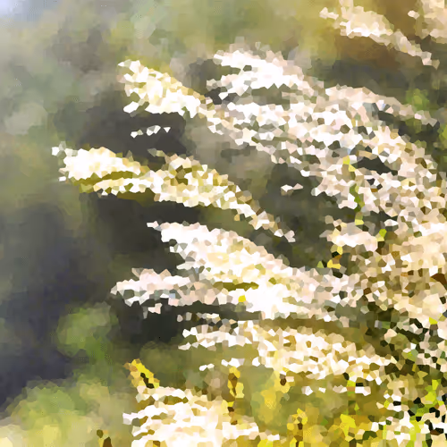 Item #23832214379027388505757409672869955788854920623949540896261745994320318562305 Media