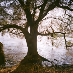 109162157552346088047496633038404394118504199992061596446112929317058129166337