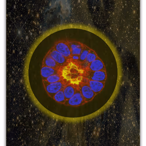 NFT Trading Card #57
