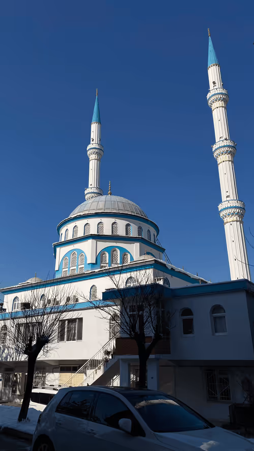 Item #57164340370605487482771130434956821177092171765090651853542028300001560494081 Media