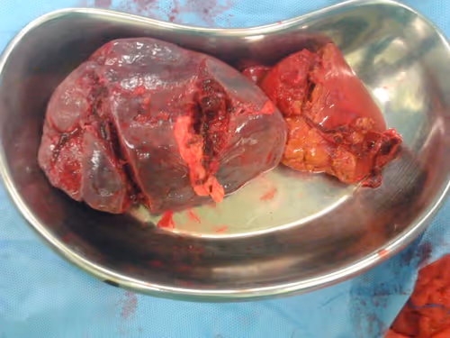 Item #3497995922478104050891848764723464450604765278000029707917531872346750582785 Media