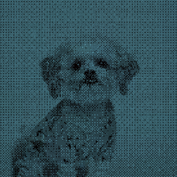 11276162529628641556553056529614973332754405277106184420845744972944637952001