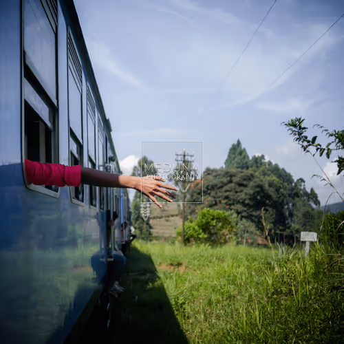 Item #112381046722962836592974674419935165827730707126809541689433939944890290929674 Media