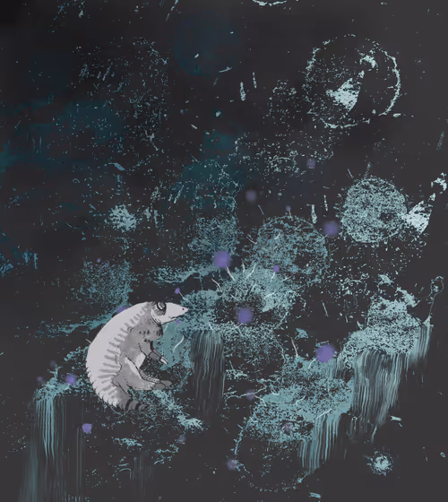 Item #34217295954232969454130535154785172916051382868535338071518571414226452086785 Media