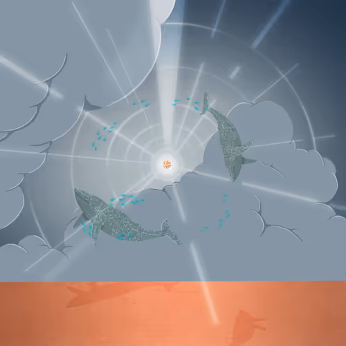 Item #50204315961408534642372543744370546985988876223601318910297720222469037490276 Media