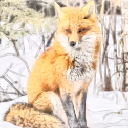 Freezing Fox