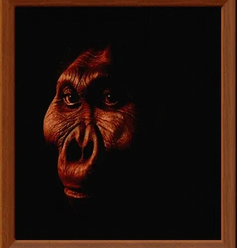 99240698403131764357396770641695198226804647575338296481324929403987551059969