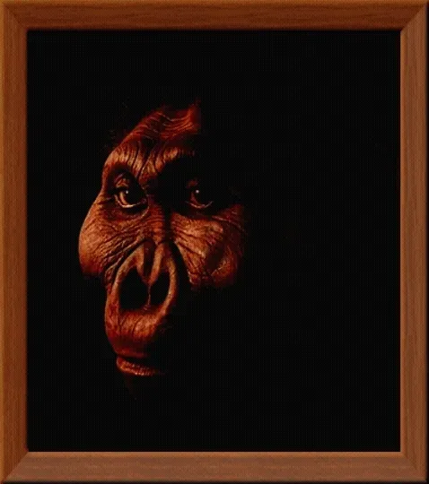 Item #99240698403131764357396770641695198226804647575338296481324929403987551059969 Media