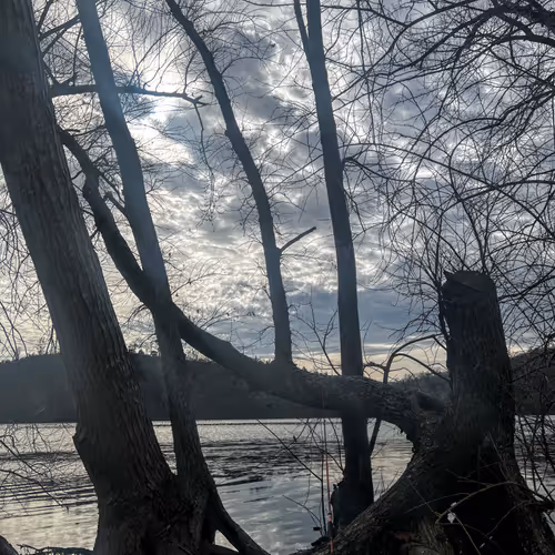 Untitled Collection #93826274