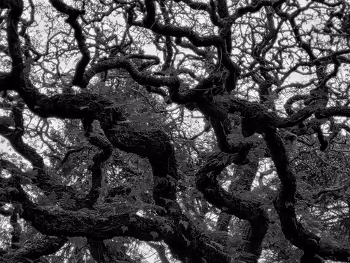 Item #67735063741821568461773819163901199613015394184580788497875190258574903214081 Media