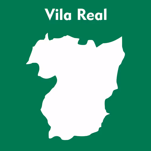 Item #53594356007989535792850162458107501771688790401863407050360661581986801909765 Media