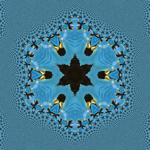 Item #112881076383788129306951985002951292499329158073037574705693288424014780301313 Media