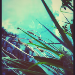 3787080761074609709675817509753112159059746763483256848434353907441105633281