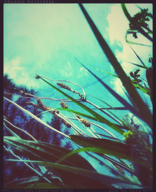 Item #3787080761074609709675817509753112159059746763483256848434353907441105633281 Media