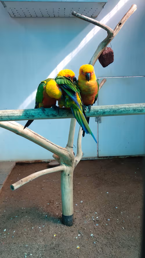 Item #39676406295391037373845145419236642061934828919848177162751571629019311898625 Media