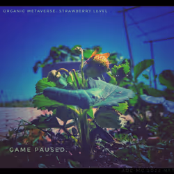 3787080761074609709675817509753112159059746763483256848434353932729873072129