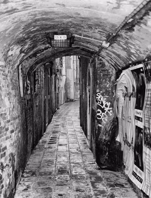 Item #16169064393399629467859942900905405490006492366557123064973208560332651364362 Media