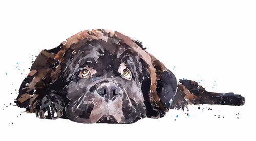 Item #15308155937593783866228062712704217529335676444312394672786838670000925966341 Media