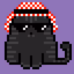 33025656823960356561507790945020345262477228740296063898566012639938909044737