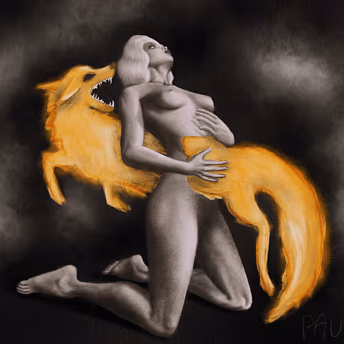 paulinelimpoo Collection