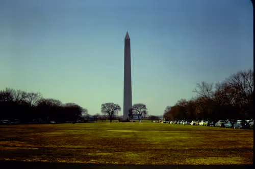 Item #113047771030127017240919341709485116586684509374101894410877815071172577984513 Media