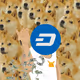 72822549127911194636699606900543235145286943024988463906931456293334664871937