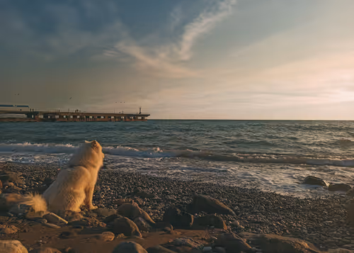 Item #75420545532376289755643247772624516451003297348438695466432477880293194203137 Media