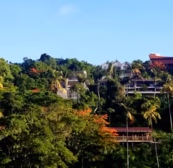 St. Lucia #5