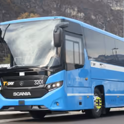 Bus