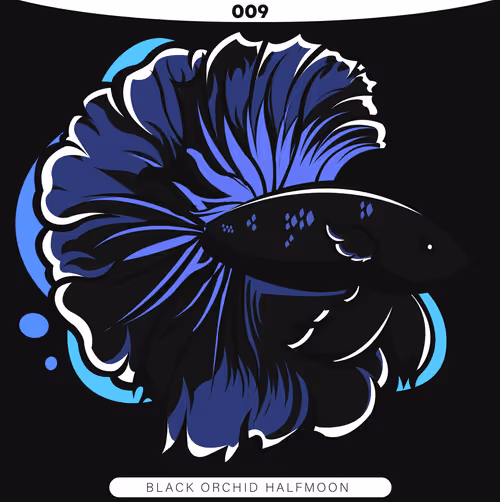 Item #71915282176282174012632358448723633474544225318645324977784202292199182827521 Media