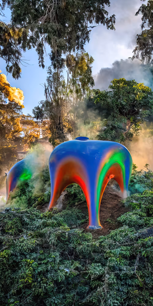 Item #53204195999668057401361450590388499232587888718751066529720239273008502407169 Media