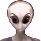 78659460725135531583023670119258347490912039647015248883718852244993239678977