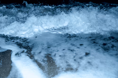 Item #65334289746679534718729475887804441956060191570096093289886828095977121906689 Media