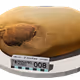 28996105695402535687313583966058185802753340320092619723883455526439986659329