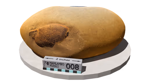 Item #28996105695402535687313583966058185802753340320092619723883455526439986659329 Media