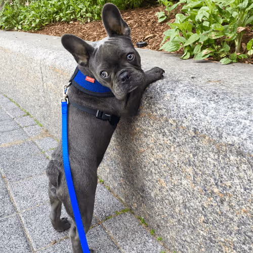 Item #99031261785432219130552668818269695456905868997165113515571762361032673067009 Media