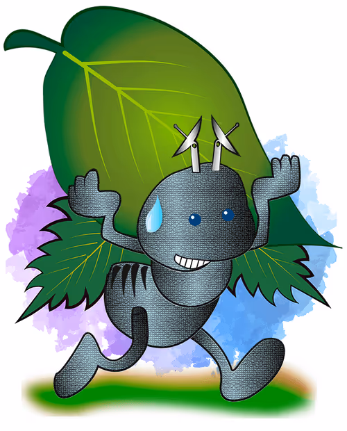 Item #45348753743339507451215022737085169822487941225241617615385427988559337357313 Media