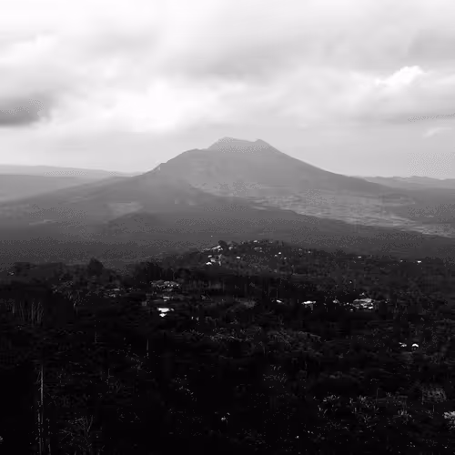 Item #78926493058180902224951420418338520494143290950102848006872373424331065131009 Media