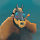 112668453958348905628682671104512283032862942106395263804295588474866991366145
