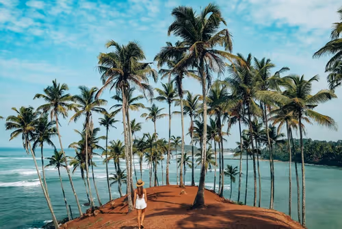 Item #10009359903282094537398543197541078073067770590855434614987939418183779221514 Media