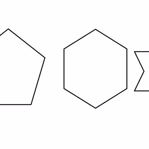 Untitled Collection #58295633