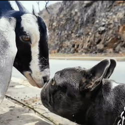 32237202173720727343948986965561335091197107318394763909165930978108376088577