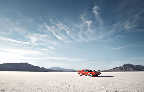 Item #32558095243407965837302245570268242954895421549699099484669284069251548708865 Media