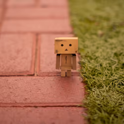 Danbo