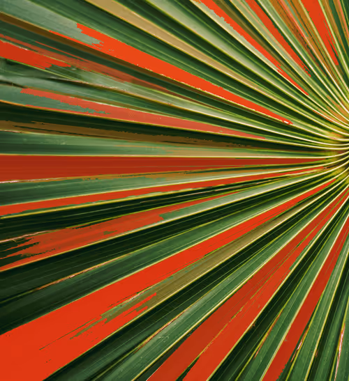 Item #112213658774920967788147241241895464051539136467428657137441712362724618403841 Media