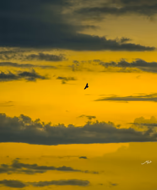 Item #9104047852343460824823657095955061139286762947505329334286274226902519513089 Media