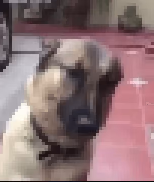 Item #60945901834044675663568377393879000312918918323415618185279016014426291568642 Media