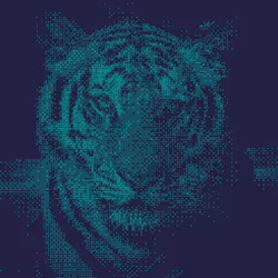 11276162529628641556553056529614973332754405277106184420845744975143661207553