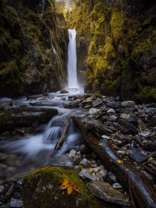 Item #96581077355438815098839991825512832741865857060493476294166675742463178571777 Media